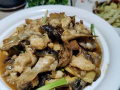 红烧河豚-陆川港酒楼(亭洪店)