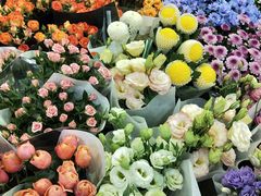 -双季花艺园艺市场(浦东店)