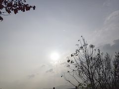 -金海湾滨江公园