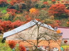 -四明山国家森林公园