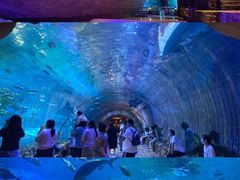 -华夏文旅海洋公园