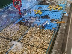 -双合园·海鲜水饺青岛菜(九水东路店)