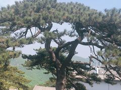 -妙峰山风景名胜区