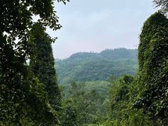 -凤栖山