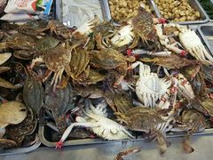 -春华海鲜城(广场西苑店)