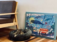 -猫的天空之城概念书店(苏州平江店)