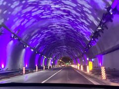 -秦岭终南山公路隧道公司