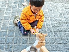 -猫岛主趣味餐厅(鼓浪屿店)