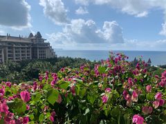 -海南清水湾莱佛士酒店