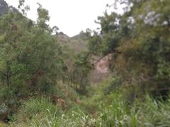 -火炉山森林公园