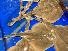 -三亚火车头万人海鲜广场