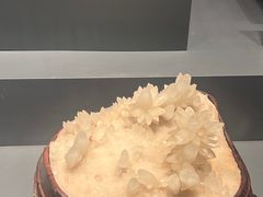 -湖南省地质博物馆