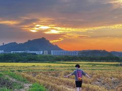 -光明小镇欢乐田园
