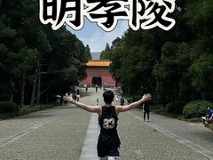 -紫金山山顶公园