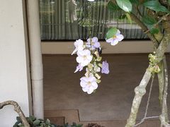 -麦哲伦丝绸度假村