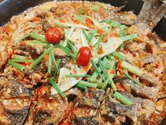 -老板恋上鱼(恒隆广场店)