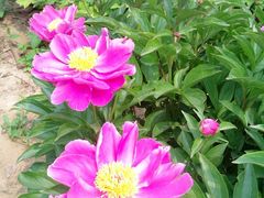 外景-河南省黄河迎宾馆