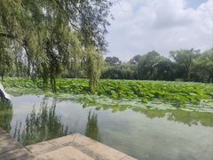 -北陵公园