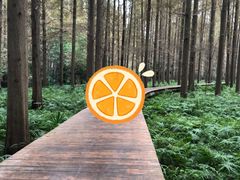 -上海怡沁园度假酒店