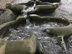 -成都市活水公园