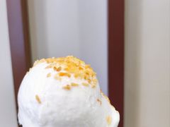 -蔻蔻椰·鲜萃椰子水(欢乐港湾店)