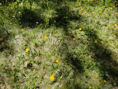 -泰安地下龙宫景区