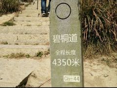 -梧桐山风景名胜区