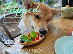 -Golden Lily河内巴黎法越料理餐厅(建国西路店)