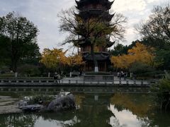 -红梅公园