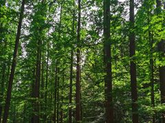 -北京西山国家森林公园