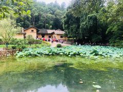 -韶山毛泽东同志故居