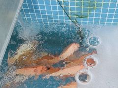 -小海豚•老字号海鲜餐厅(天涯店)