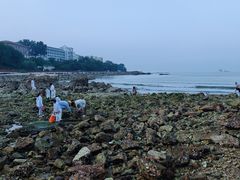 -养马岛旅游度假区
