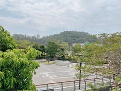 -立新湖公园