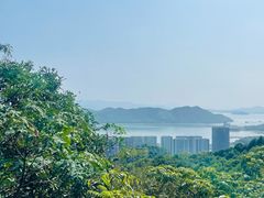 -黄贤森林公园