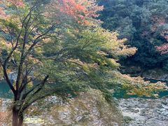 -岚山嵯峨野观光小火车