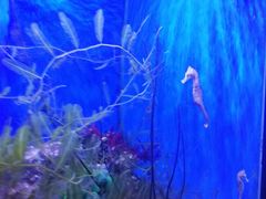 -多彩贵州城极地海洋世界