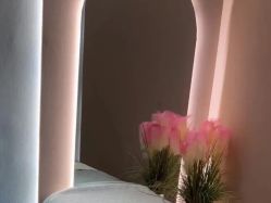 -Lily纤美·科技减脂中心