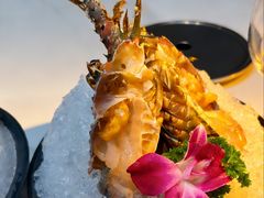 -海月轩海鲜豆捞(紫金塔店)
