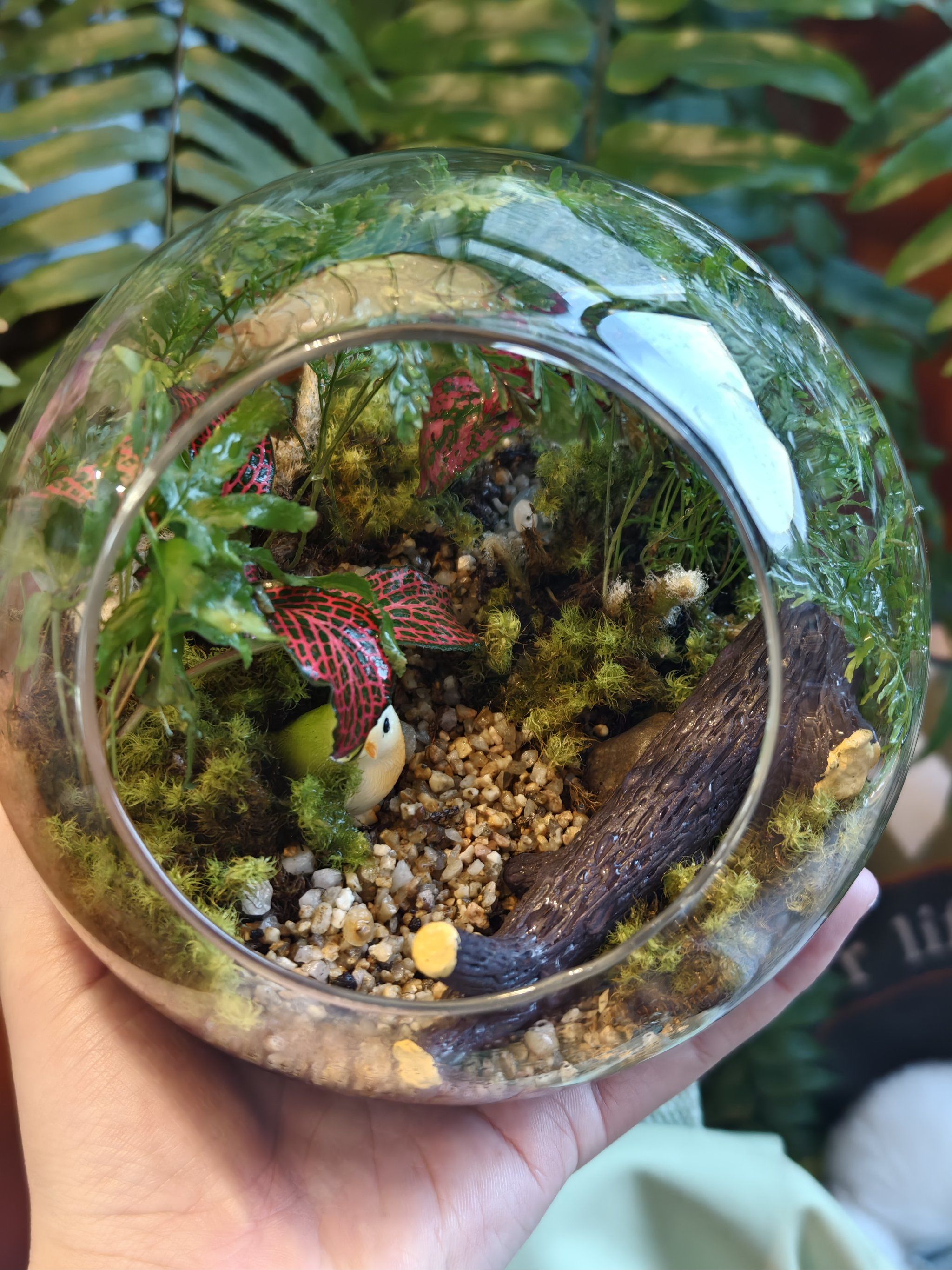 长沙也有了,手工微景观