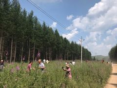 -塞罕坝国家级自然保护区