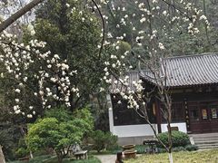 -团城山公园