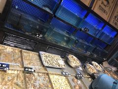 -鱼王府大酒店