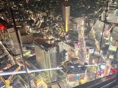 -六本木新城展望台(东京城市景观)