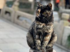 -龙华寺