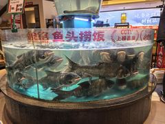 -魏铭鱼头捞饭(晋阳路店)