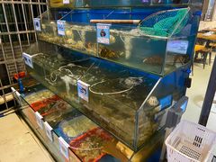水产区-Sasa的海(蜈支洲岛后海店)