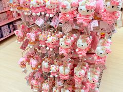 -安吉Hello Kitty乐园