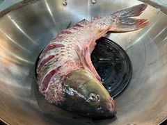 -姥家大锅台水库渔家