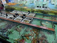 -景好海鲜餐厅(大鹏必选旅游店)